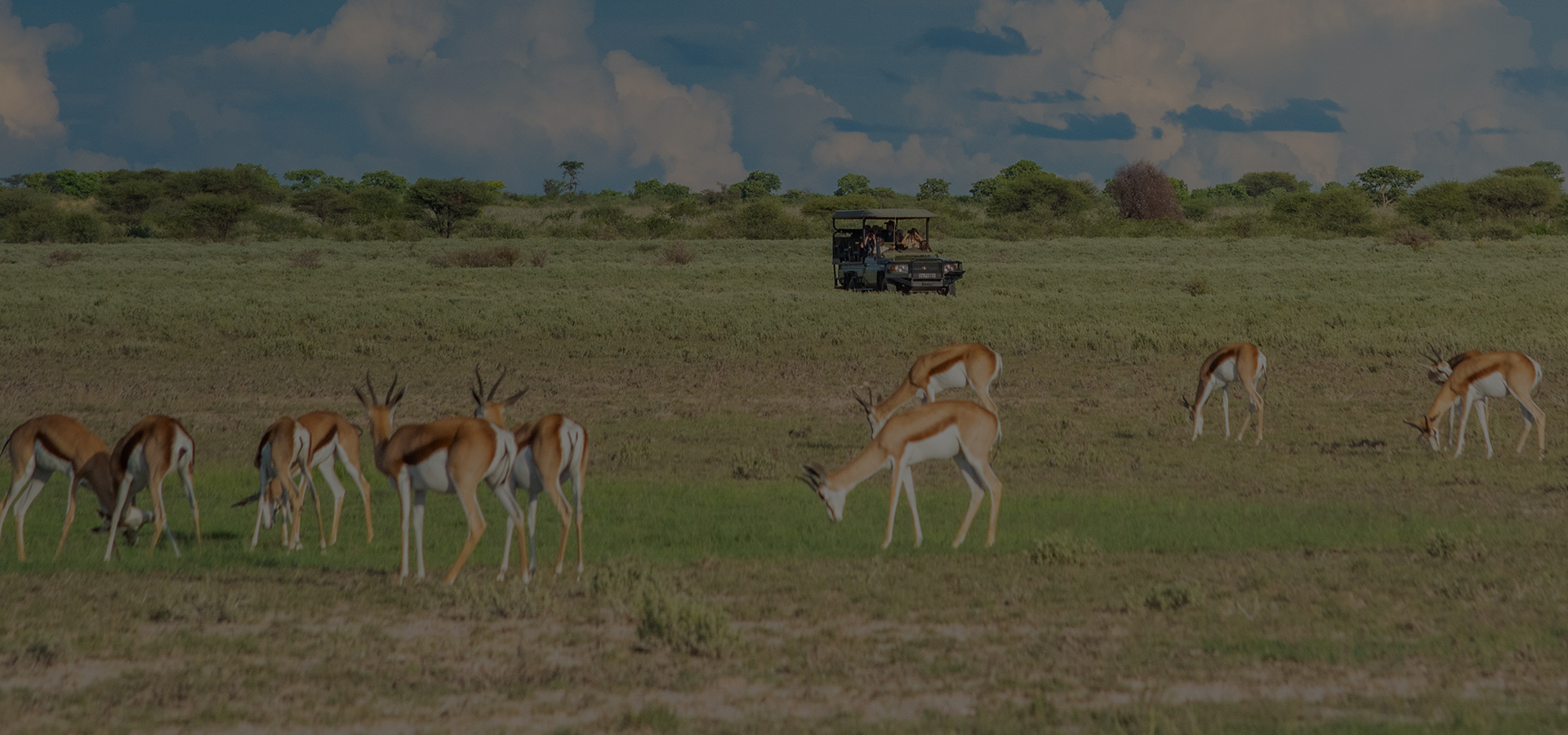 Game Drives