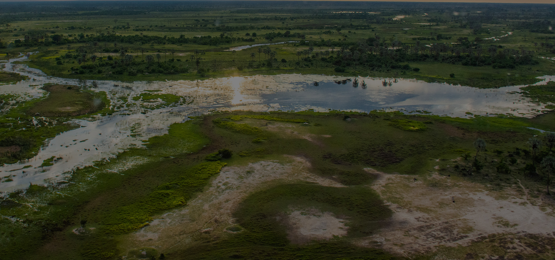Scenic Flights